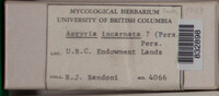 Image Associated With the Occurence